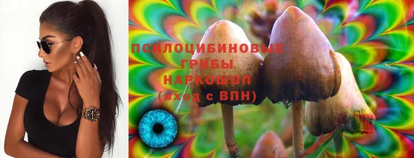 молекула духа Балабаново