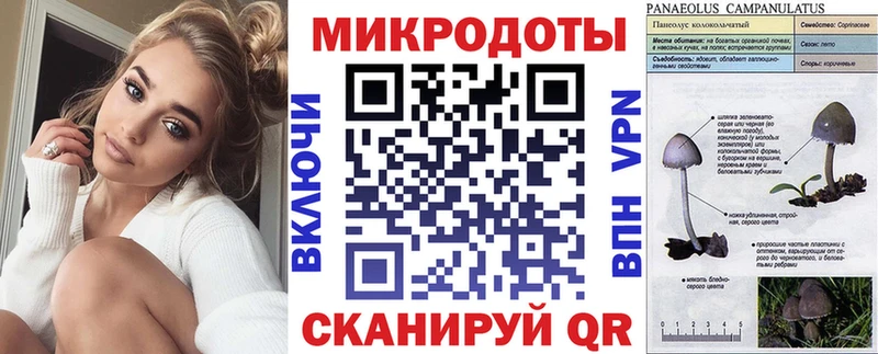 Псилоцибиновые грибы MAGIC MUSHROOMS  Горно-Алтайск 